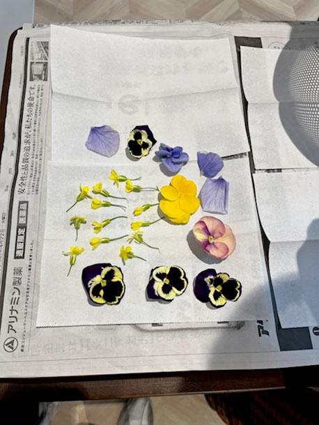 押し花