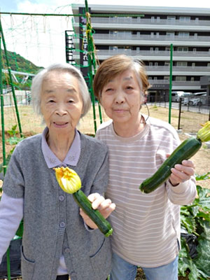 夏野菜