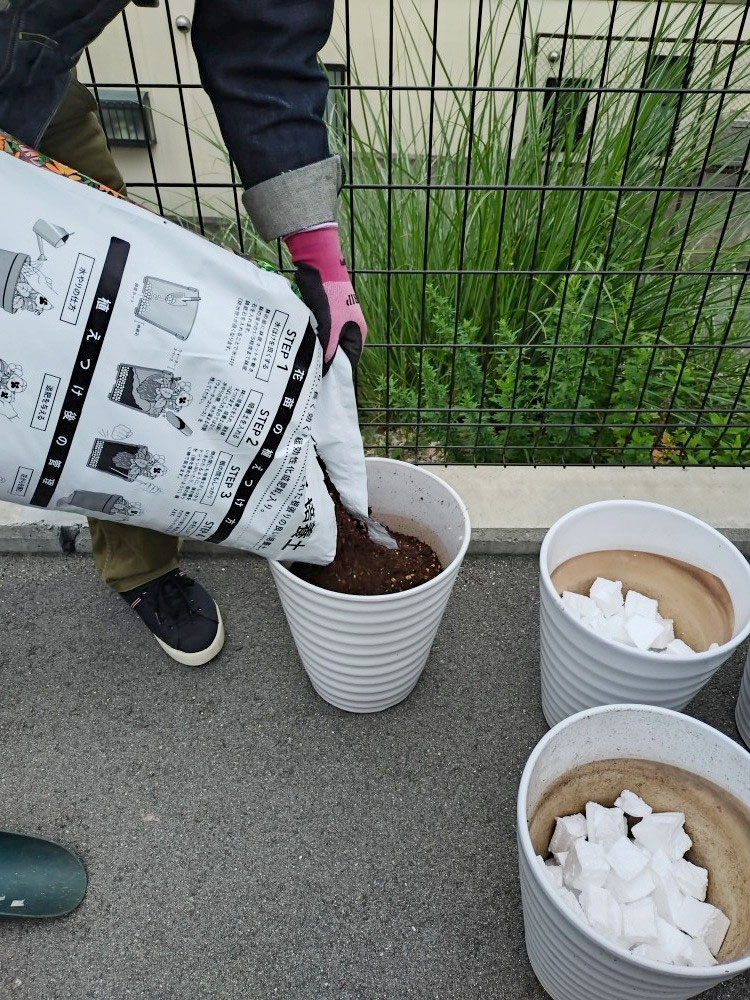 お花を植えました