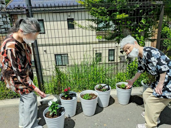 植え替え